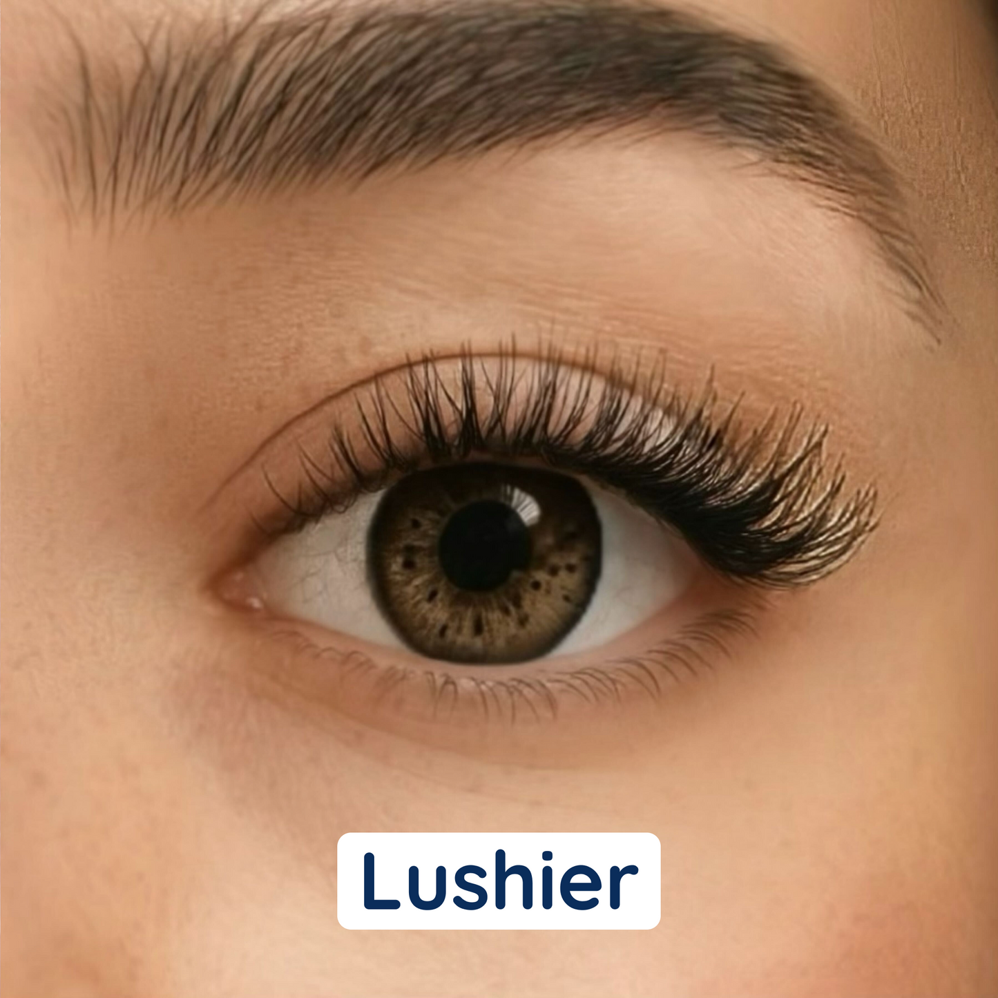 i:licious Lashes