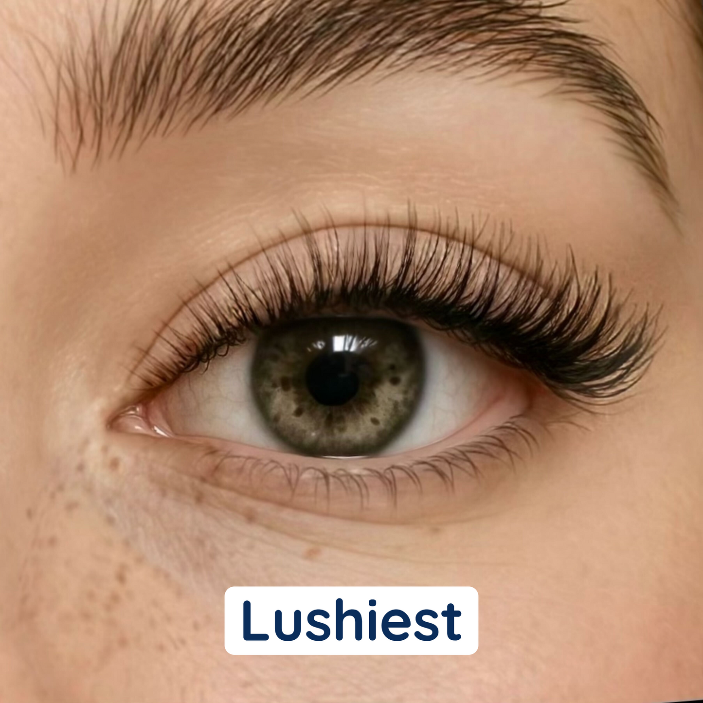 i:licious Lashes