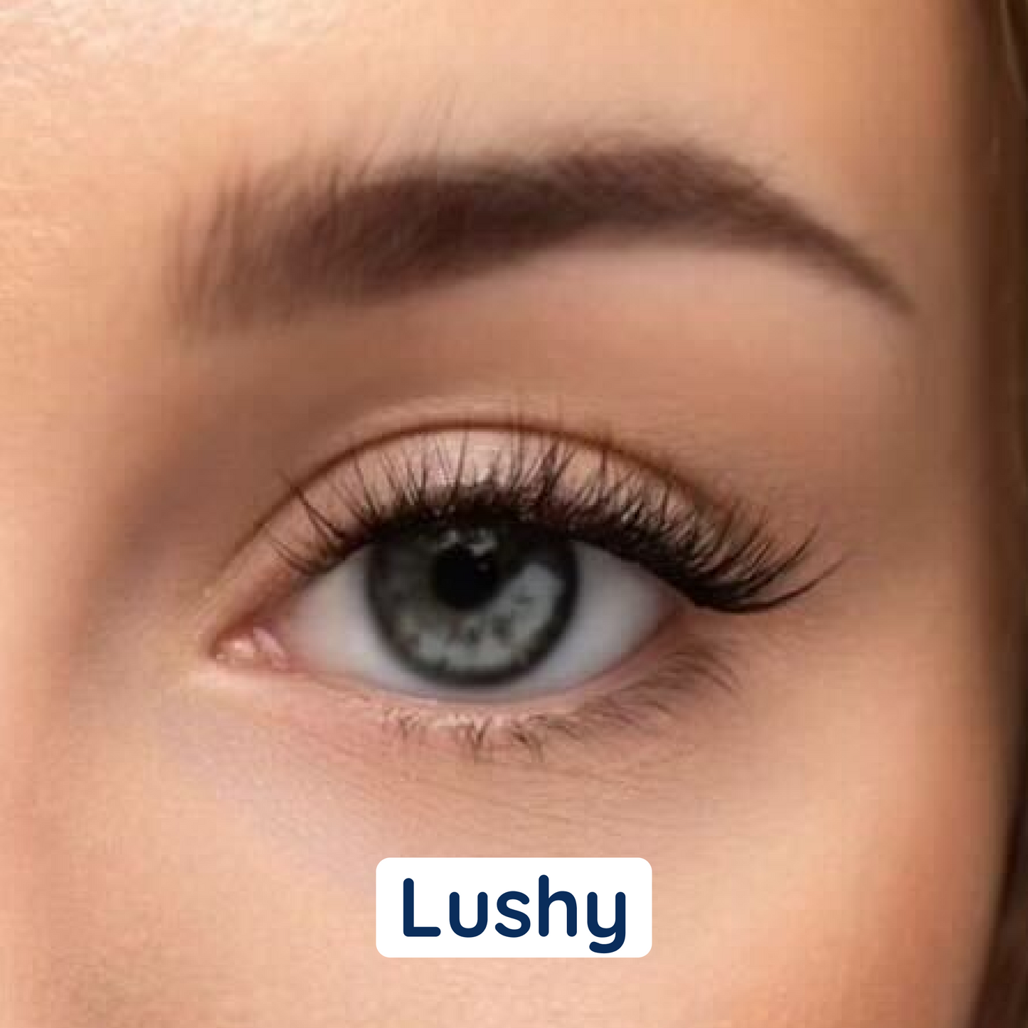 i:licious Lashes