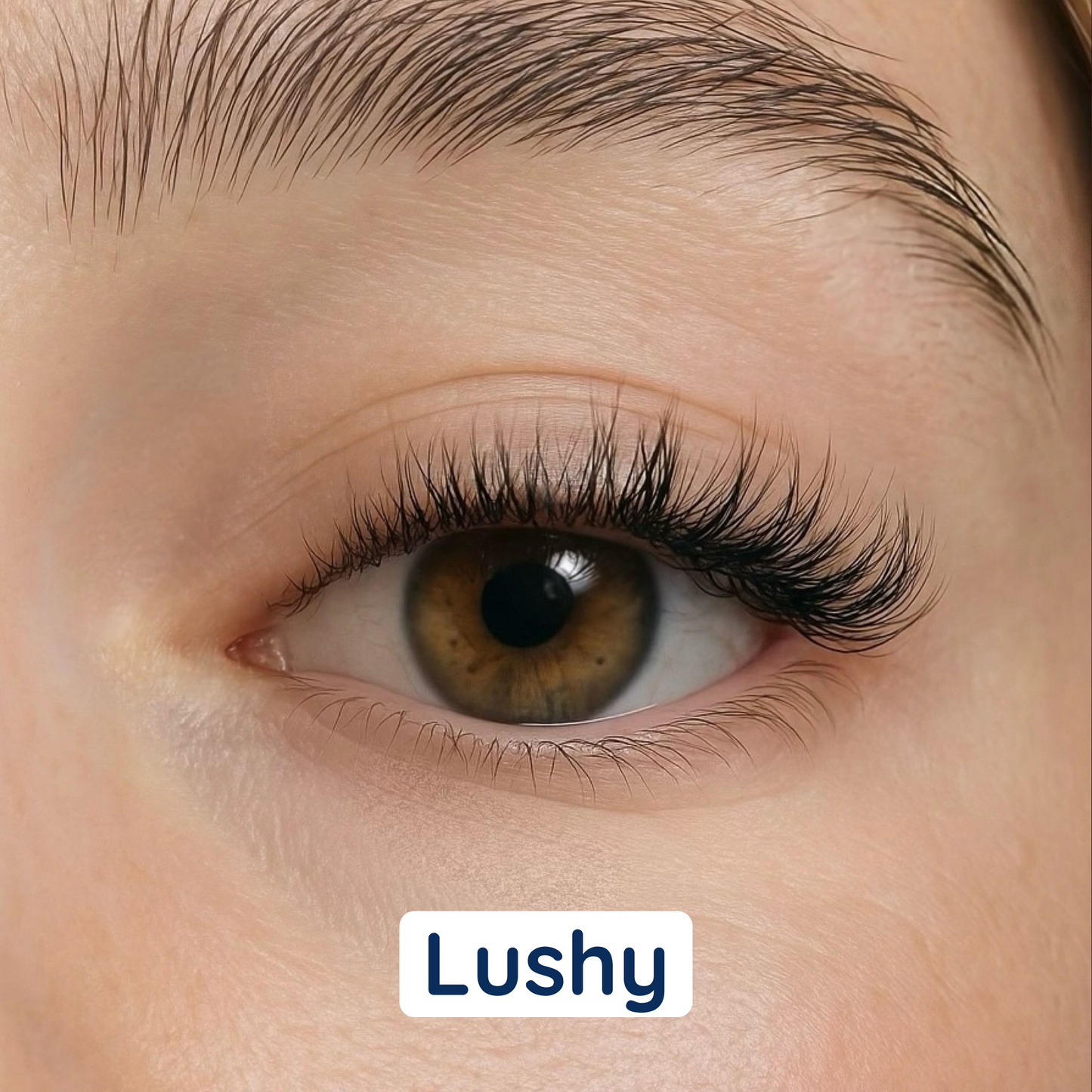 i:licious Lashes