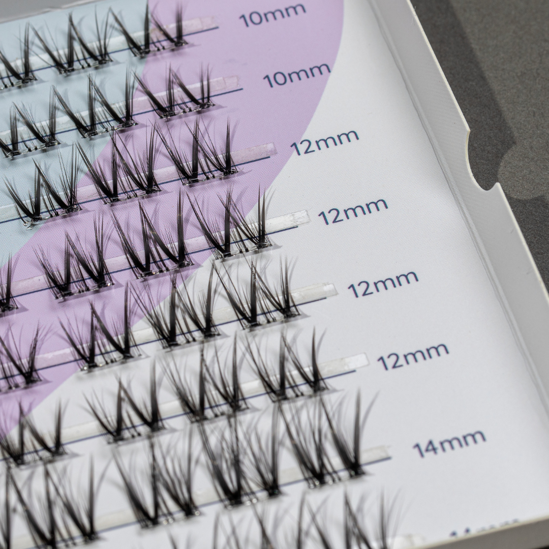 Lashier Lashes