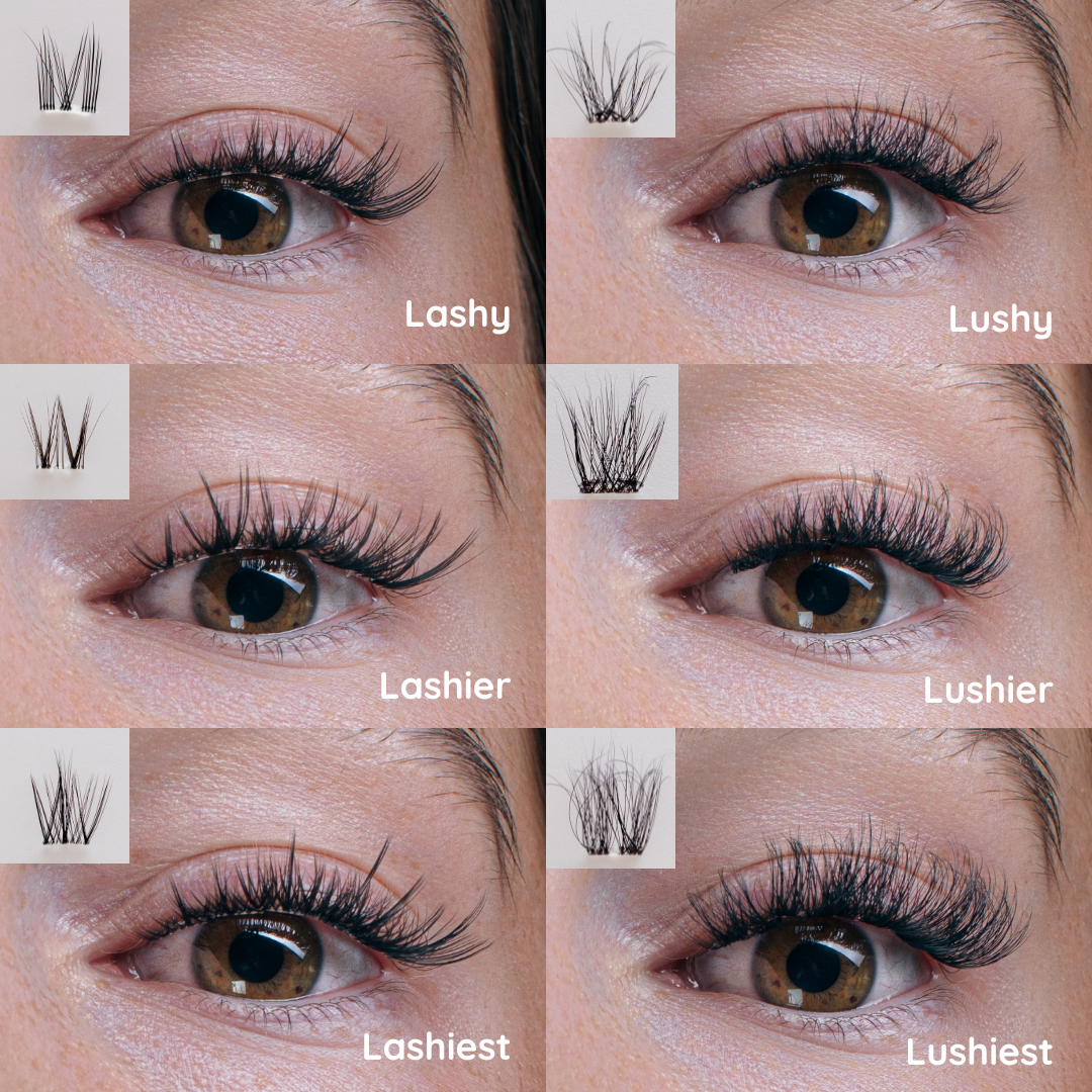 Lashy Lashes